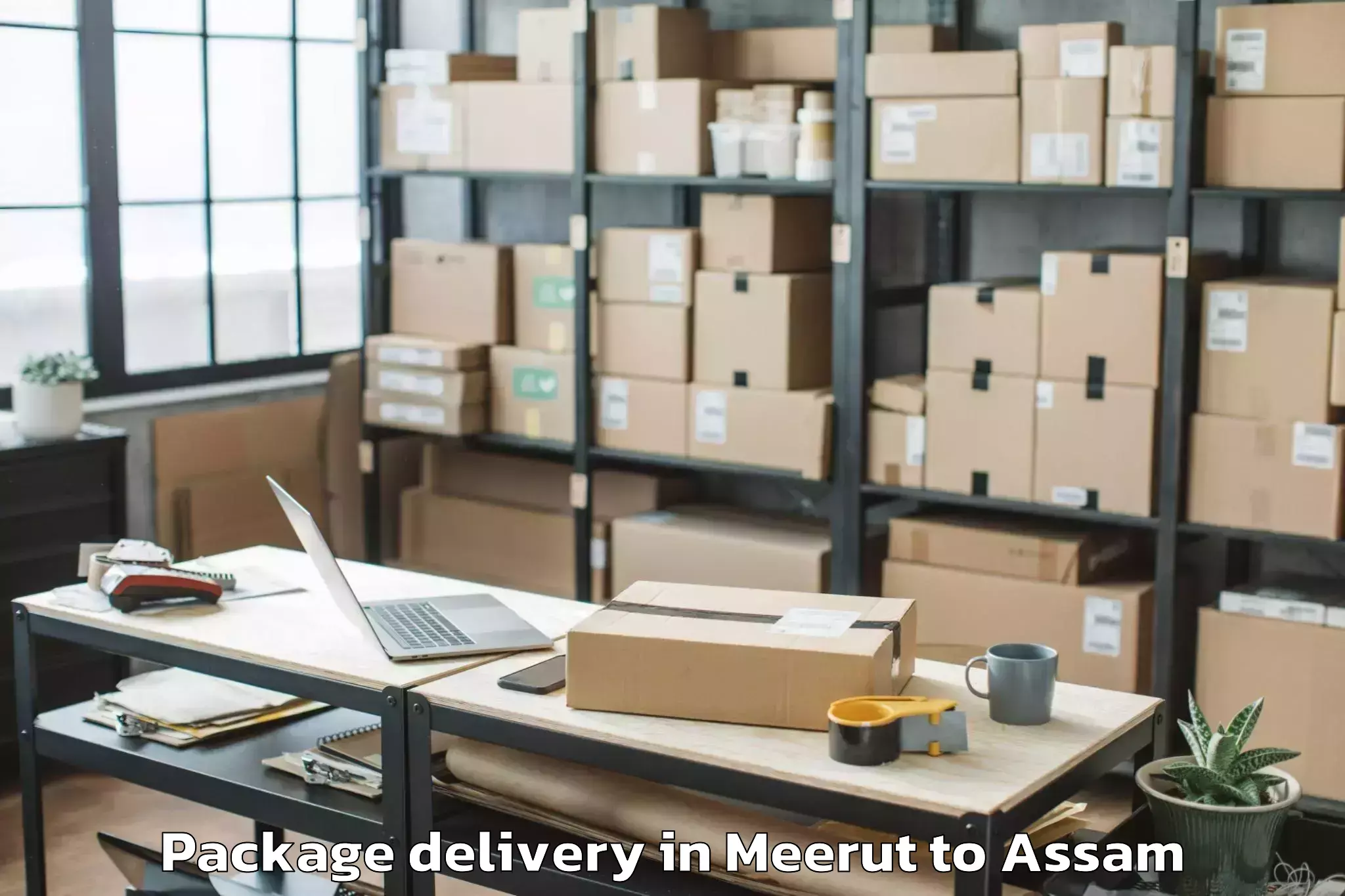 Reliable Meerut to Samaguri Package Delivery